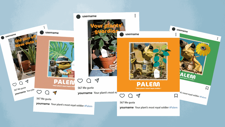 Palem Instagram campaign animation